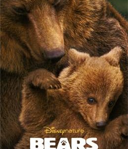 Disneys Bears image